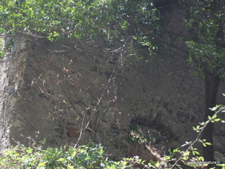 stoleone-17-08-2014 12-21-16